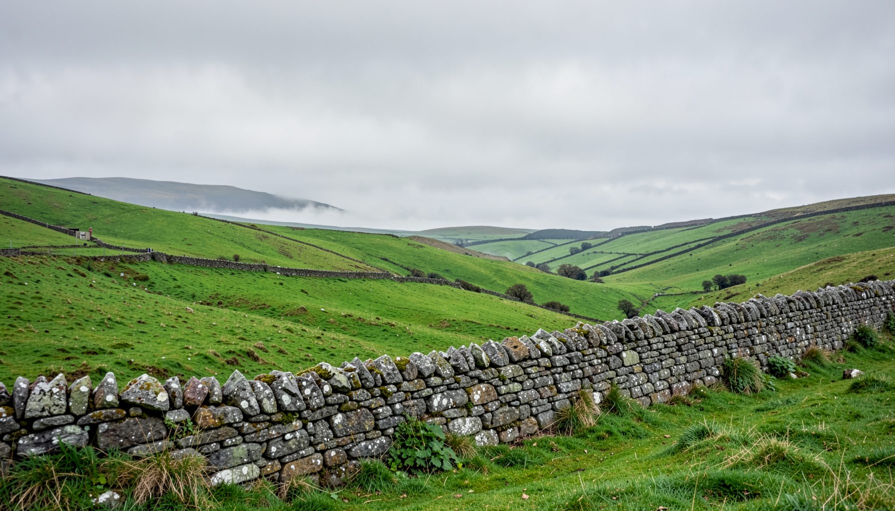 Rolling green hills and a weathered stone wall under a soft grey sky, evoking the Cornish countryside