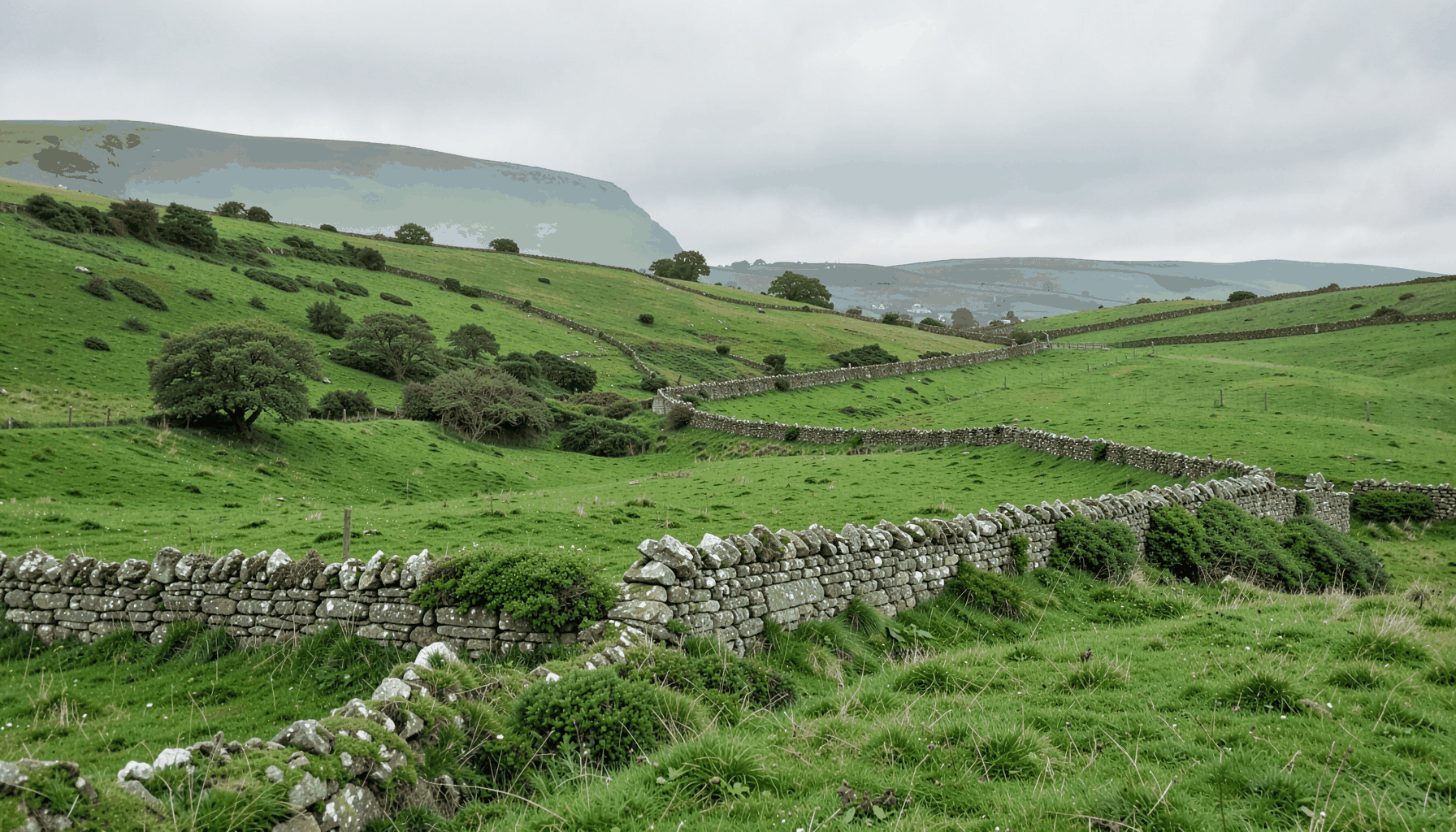 Rolling green Cornish hills with a weathered stone wall stretching across the landscape under a soft grey sky